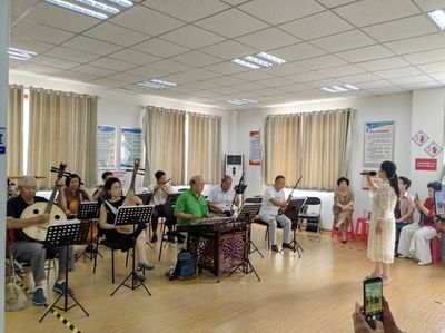 凝聚社区力量，绽放艺术之花——记社区艺术节的组织与文化交流活动